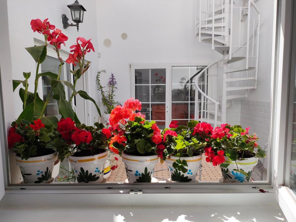 Apartmán Casa Alba 1 Puerto del Rosario  Exteriér fotografie